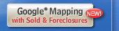 Google Mapping Home Search